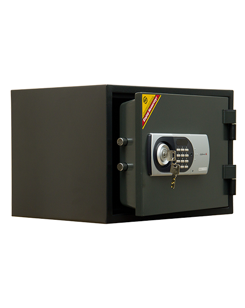DP 001E